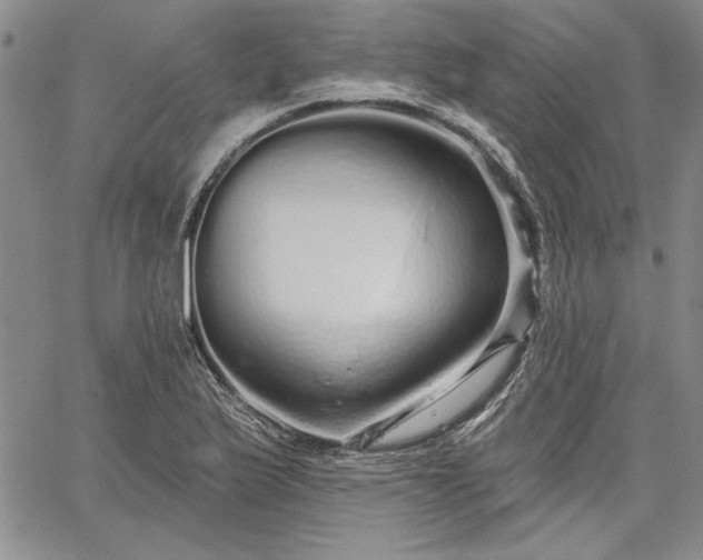 X0000064721175200602171608