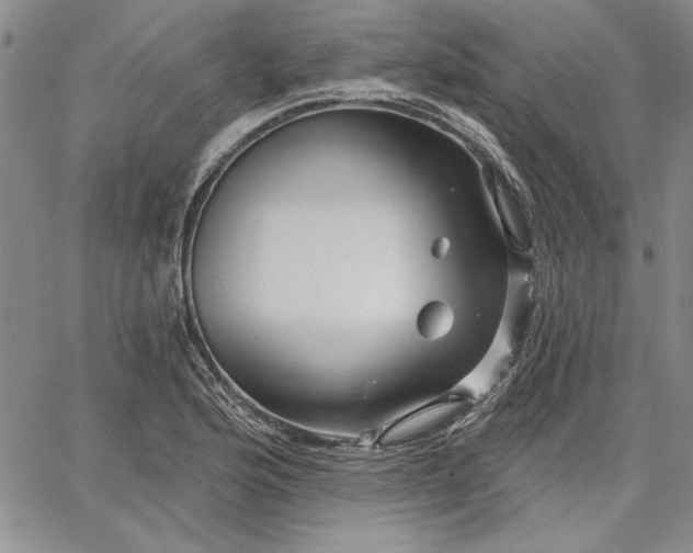 X0000064721176200602171608