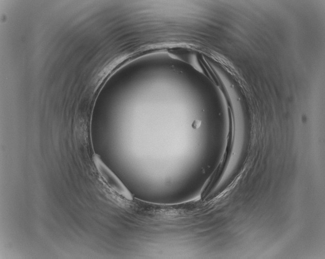 X0000064721177200602171608