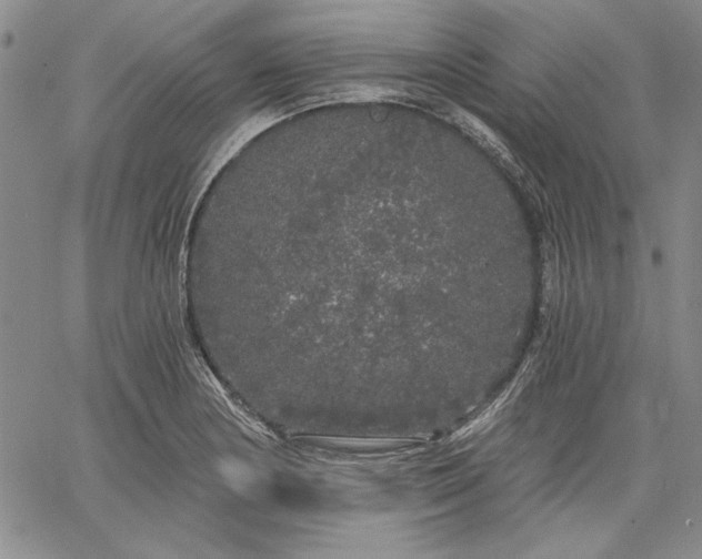 X0000064721178200602171608