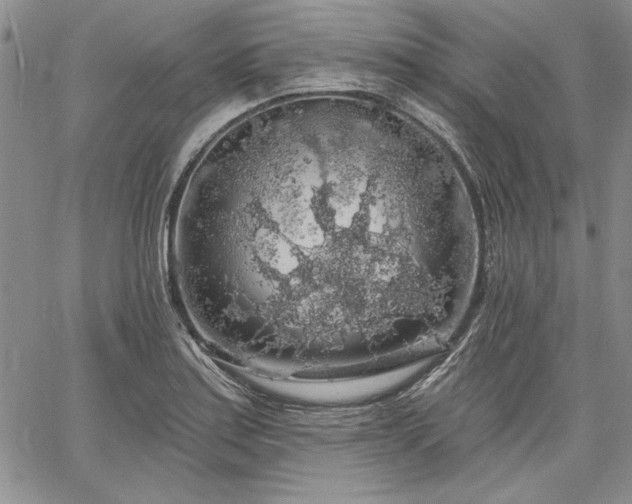 X0000064721179200602171608