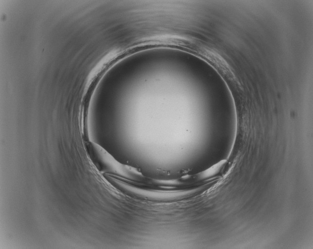 X0000064721180200602171608