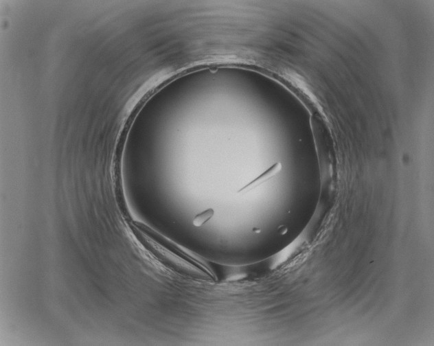 X0000064721181200602171608