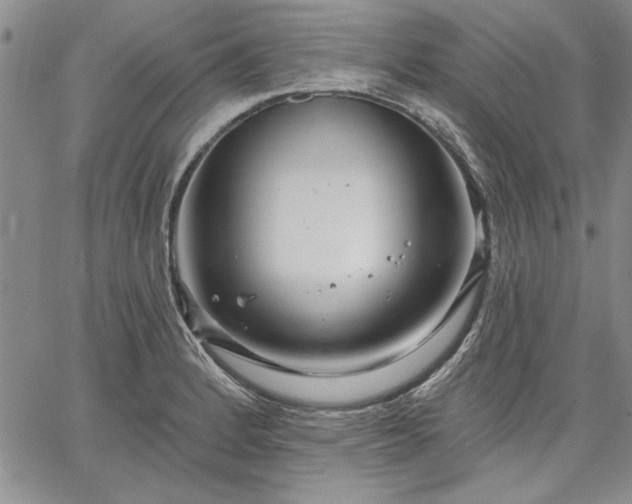 X0000064721184200602171608