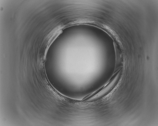 X0000064721185200602171608