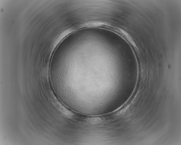 X0000064721186200602171608