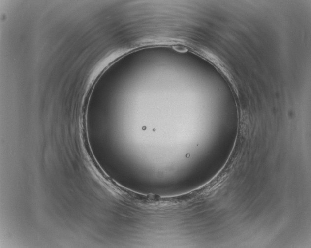 X0000064721187200602171608