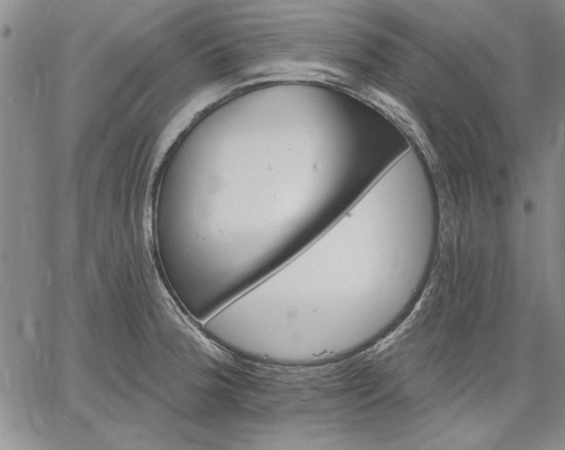 X0000064721188200602171608