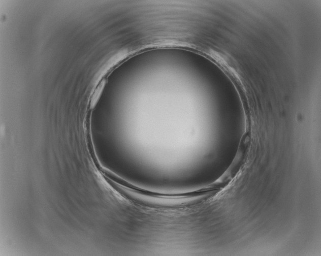 X0000064721189200602171608