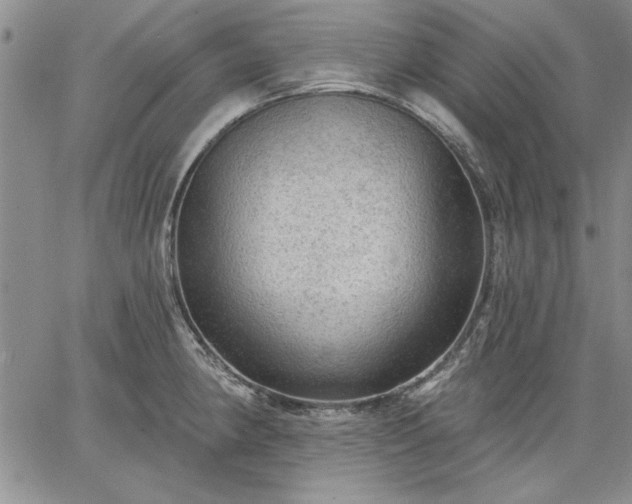 X0000064721190200602171608