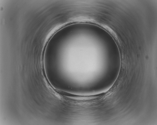 X0000064721191200602171608