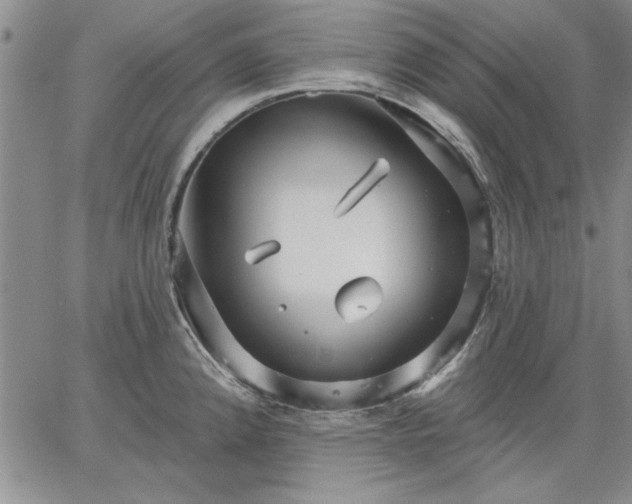 X0000064721192200602171608