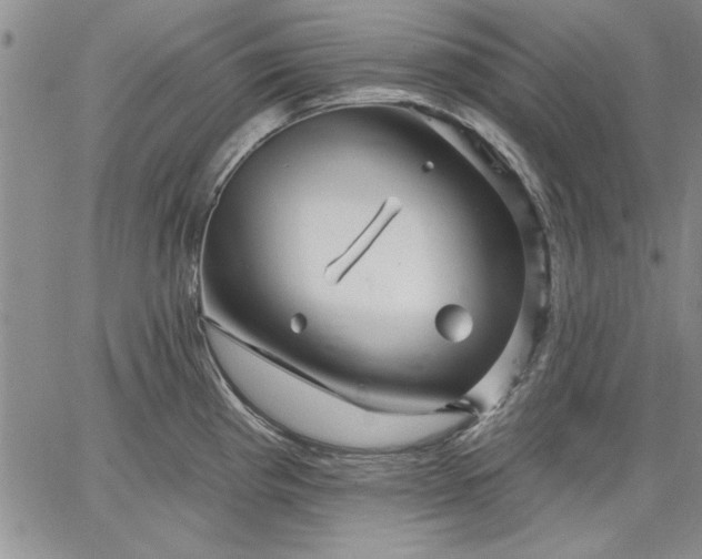 X0000064721193200602171608