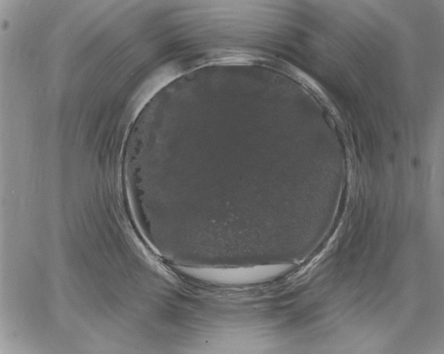 X0000064721194200602171608