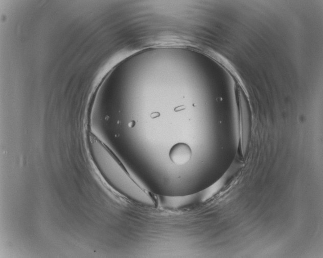 X0000064721195200602171608