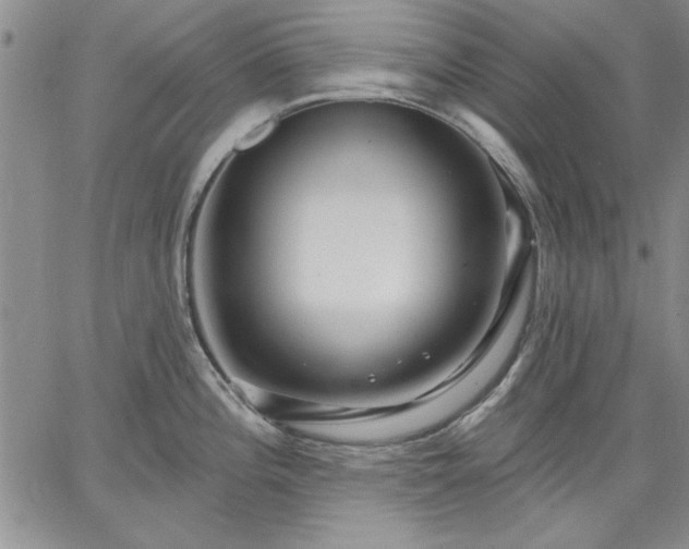 X0000064721196200602171608