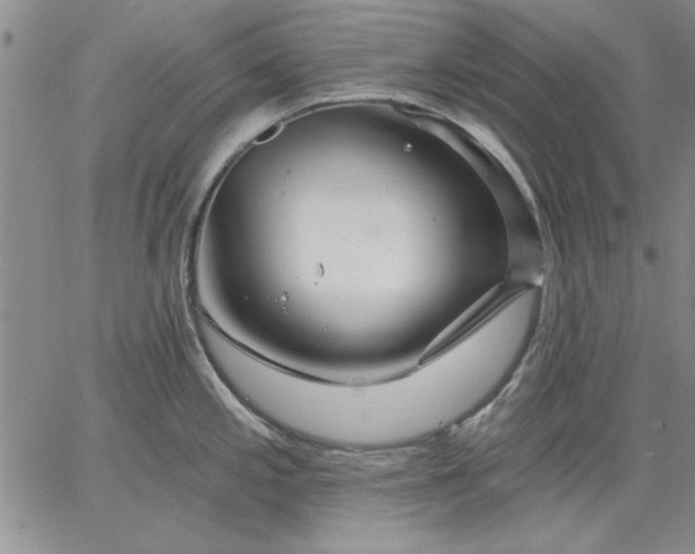 X0000064721197200602171608