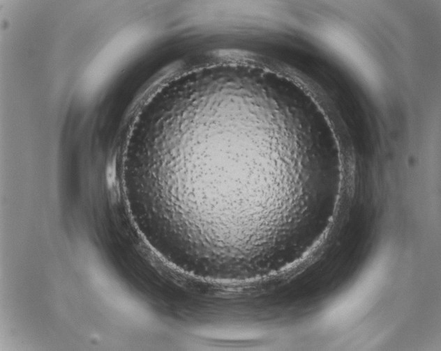 X0000064721198200602171608