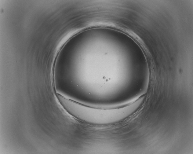 X0000064721199200602171608