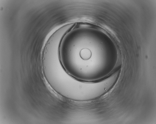 X0000064721200200602171608