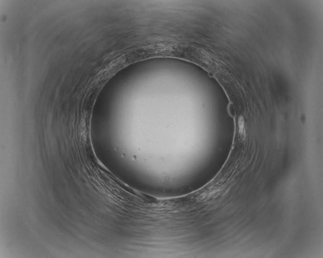 X0000064721203200602171607