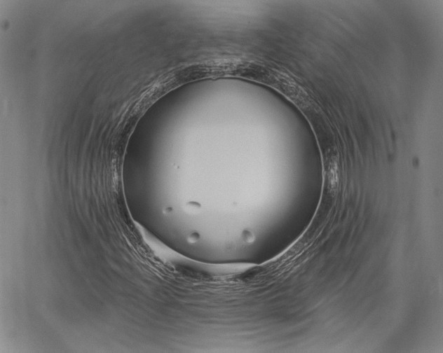 X0000064721204200602171607