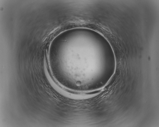 X0000064721205200602171607