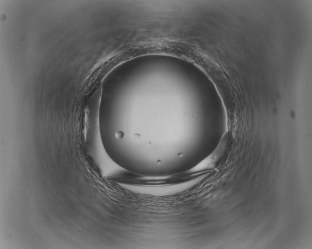 X0000064721206200602171607