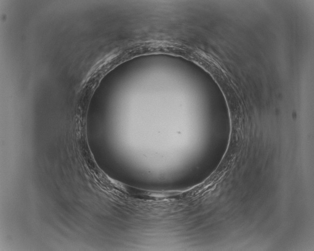 X0000064721207200602171607