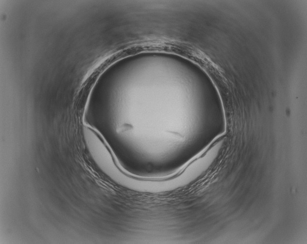 X0000064721208200602171607