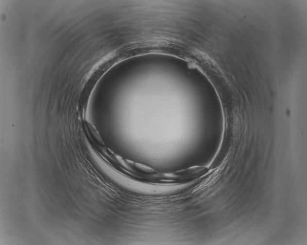 X0000064721210200602171607