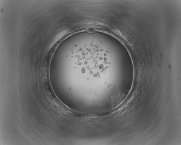 X0000064721211200602171607