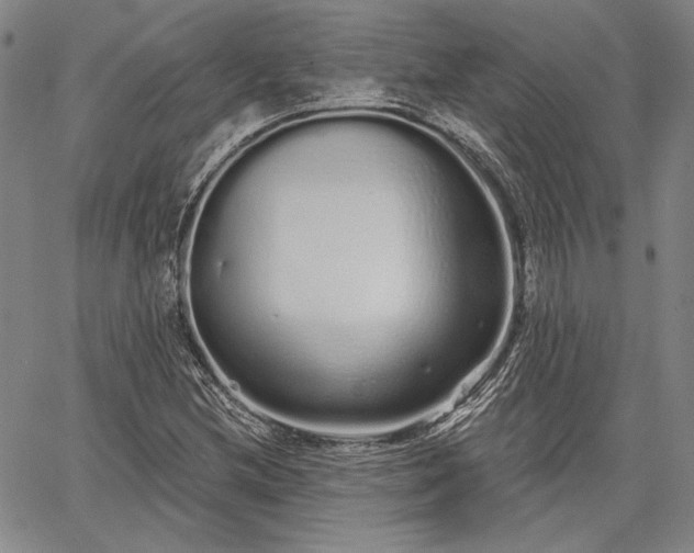 X0000064721212200602171607