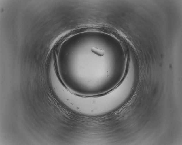 X0000064721214200602171607