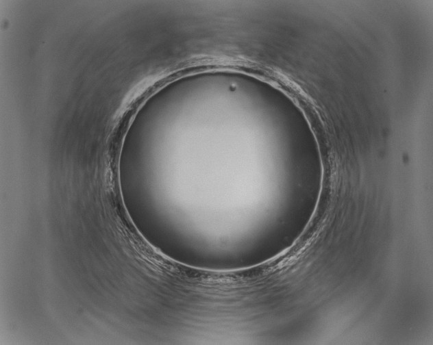 X0000064721215200602171607