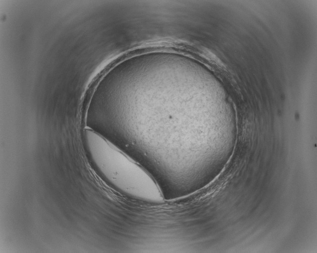 X0000064721216200602171607