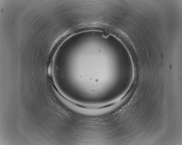 X0000064721218200602171607