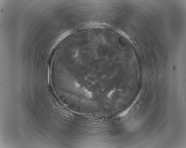 X0000064721219200602171607