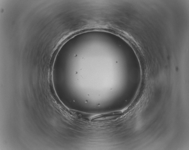 X0000064721220200602171607