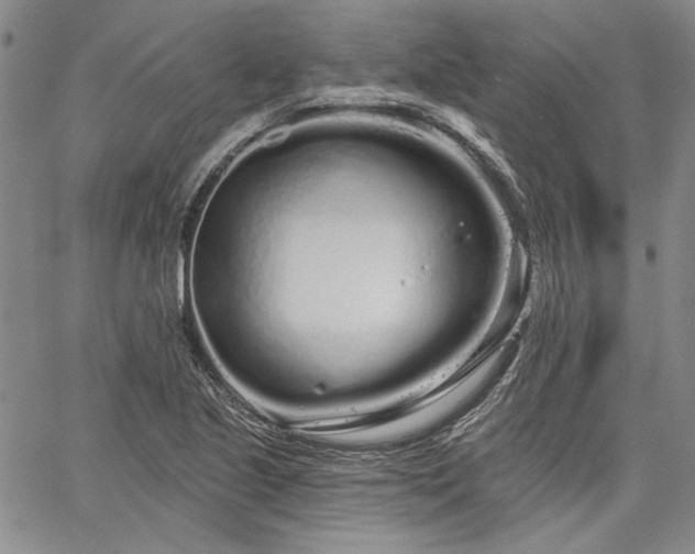 X0000064721221200602171607