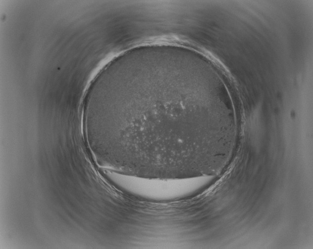 X0000064721224200602171607