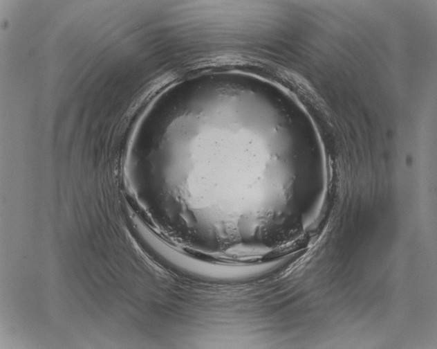 X0000064721225200602171607