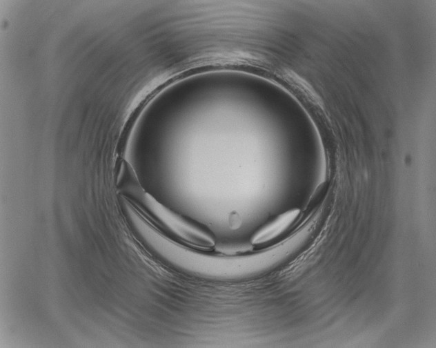 X0000064721226200602171607