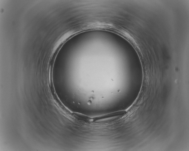 X0000064721227200602171607