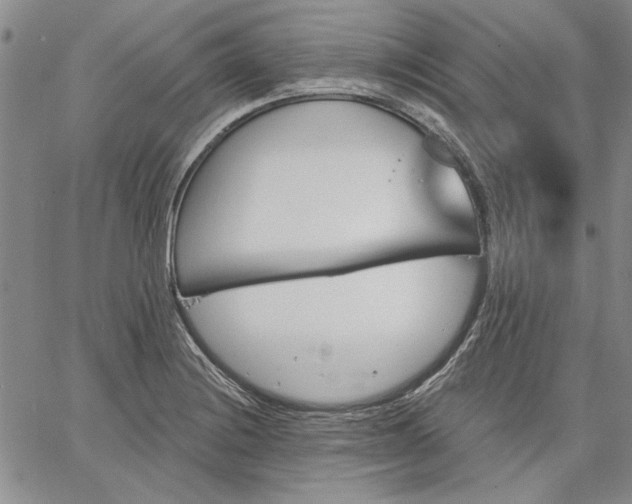 X0000064721228200602171607