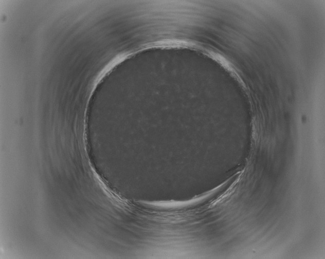 X0000064721229200602171607