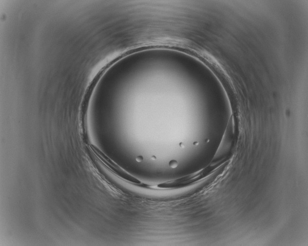 X0000064721230200602171608