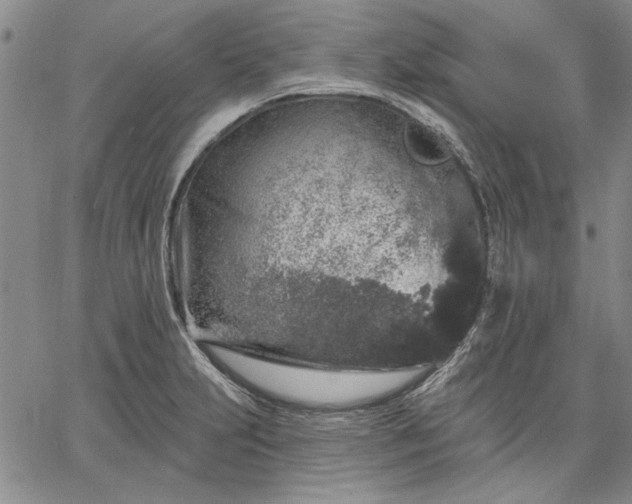 X0000064721231200602171608