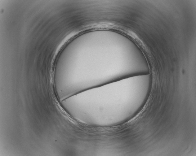 X0000064721232200602171608