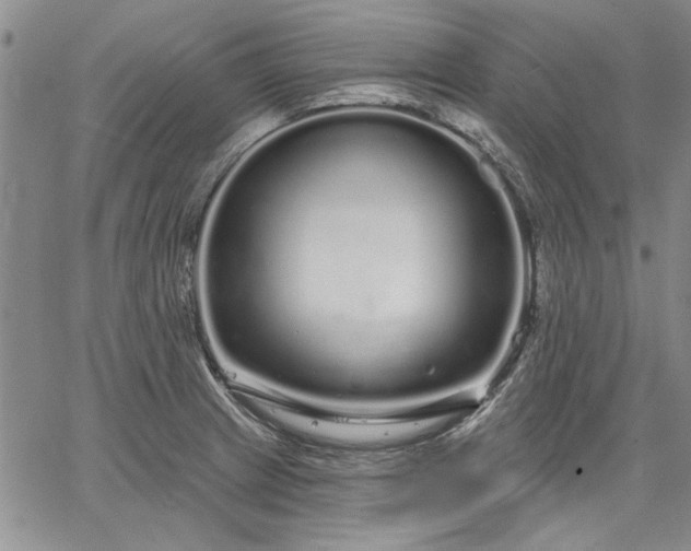 X0000064721233200602171608